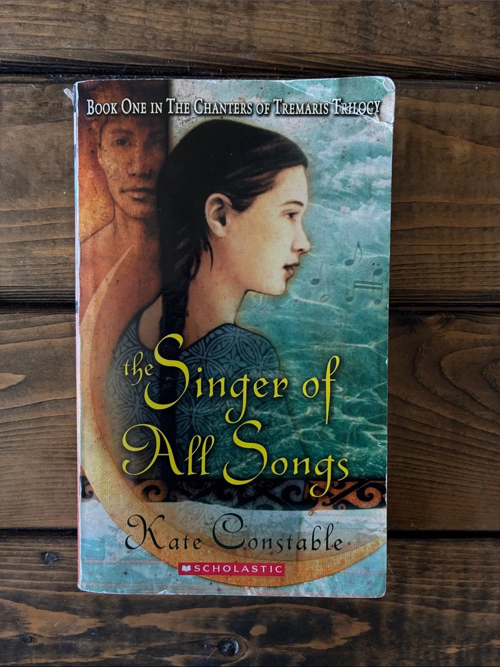 The Singer of All Songs book